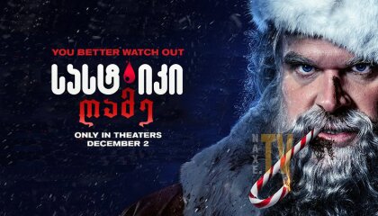 სასტიკი ღამე / Violent Night