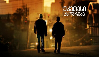 უკეთესი ცხოვრება / A Better Life