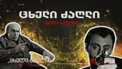 ცხელი ძაღლი / Hot dogg