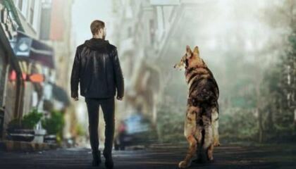 მარტოსული მგელი / Yalniz Kurt