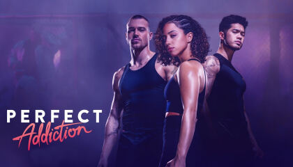 სრულყოფილი დამოკიდებულება / Perfect Addiction