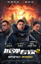 დამრტყმელი ტალღა 2 / Shock Wave 2 (Chai dan zhuan jia 2)