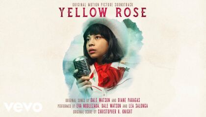 ყვითელი ვარდი / Yellow Rose