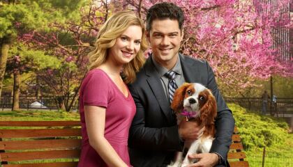 მისტერ დარსის ქორწილი / Marrying Mr. Darcy