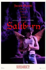 სოლტბერნი / Saltburn