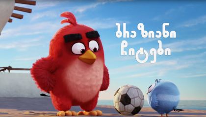 ბრაზიანი ჩიტები / braziani chitebi