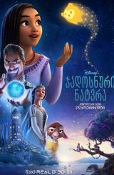 სურვილი (ჯადოსნური ნატვრა) / Wish