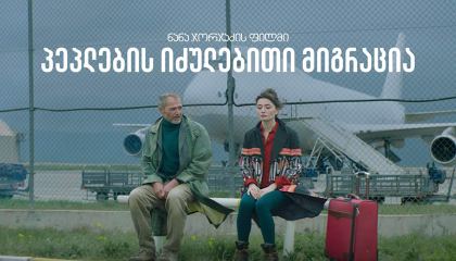 პეპლების იძულებითი მიგრაცია / Forced Migration of Butterflies