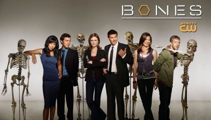 ძვლები / Bones