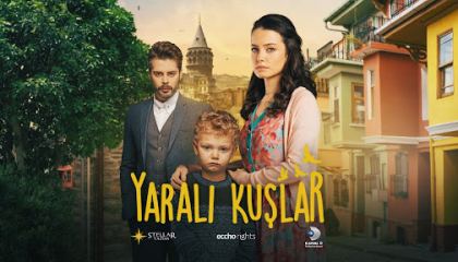 მოგონებების ზარდახშა (დაჭრილი ჩიტები) / Yarali Kuslar