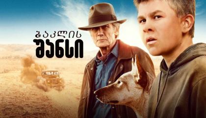 ბაკლის შანსი / Buckley’s Chance