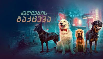 ძაღლების გაქცევა / Valatty