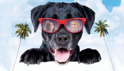 ზოი და მაქსი / Zoey to the Max