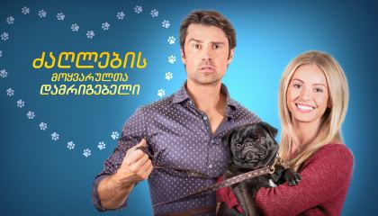 ძაღლების მოყვარულთა დამრიგებელი / The Dog Lover's Guide to Dating