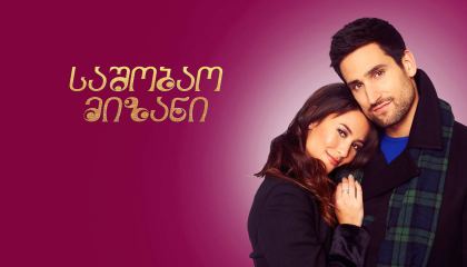 საშობაო მიზანი / Christmas with a View