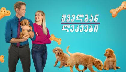 ყველგან ლეკვები / Everything Puppies