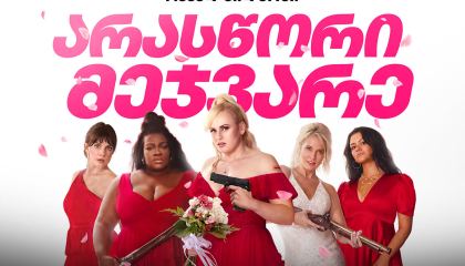 არასწორი მეჯვარე / Bride Hard