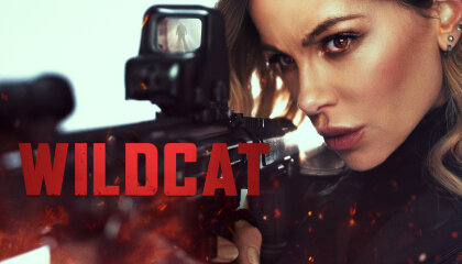 ველური კატა / Wildcat